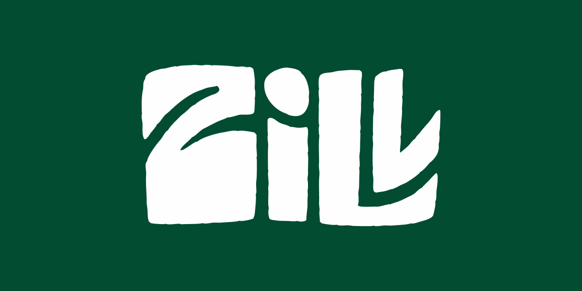 Zill Rabbani Zill